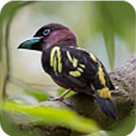 WWW,938av·COM网站APP
