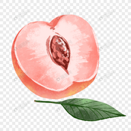 WWW,02kkk·COM网站APPAPP应用