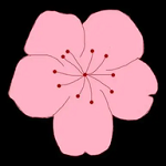 →壹秀直播官方版APP应用